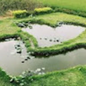 Meet your Posher, Aubrey